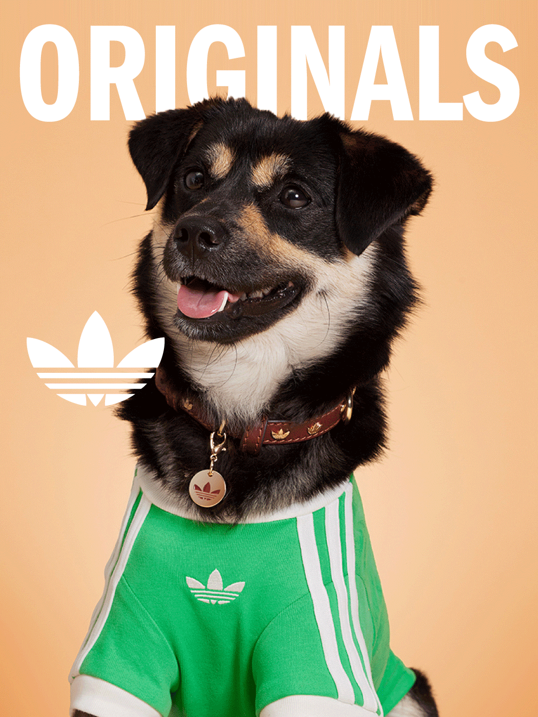 ORIGINALS PET COLLECTION